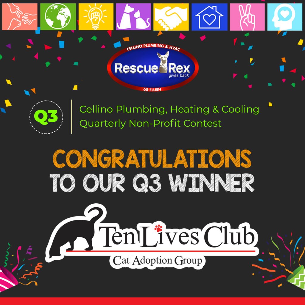 Q3 Winner of Cellino Plumbing Heating and Cooling Experts