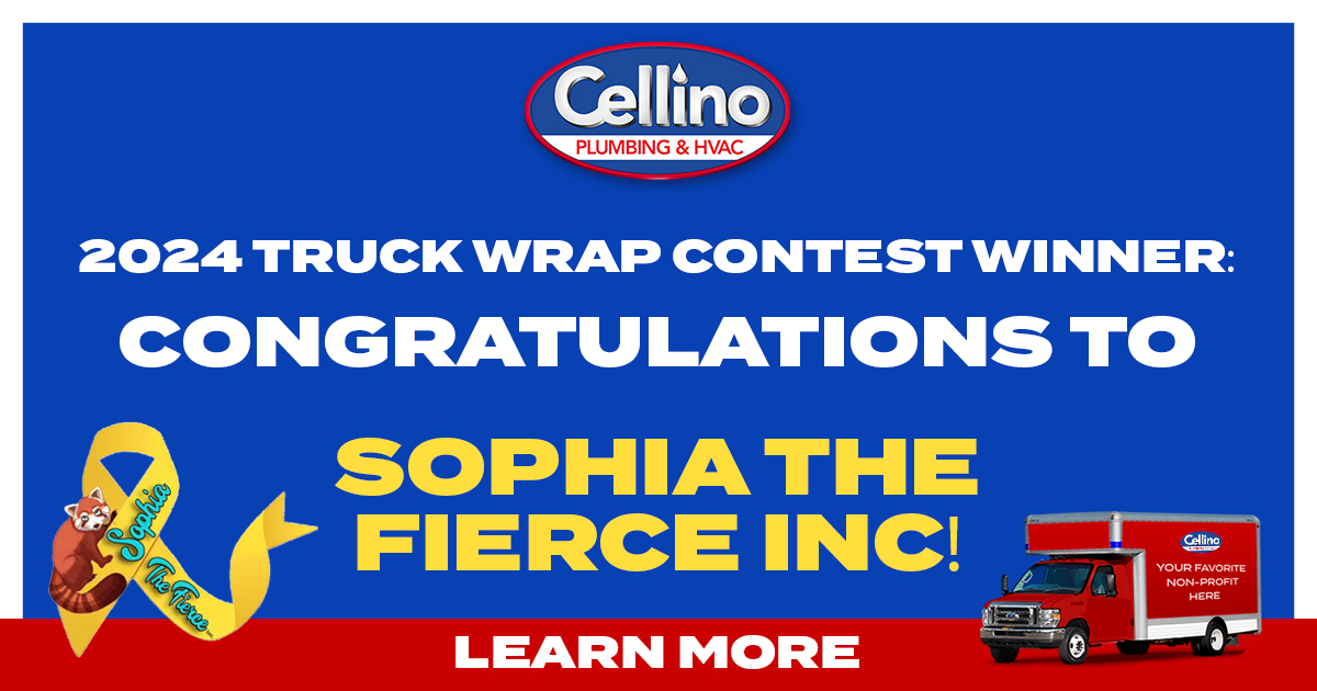 Truck Wrap Banner 2024