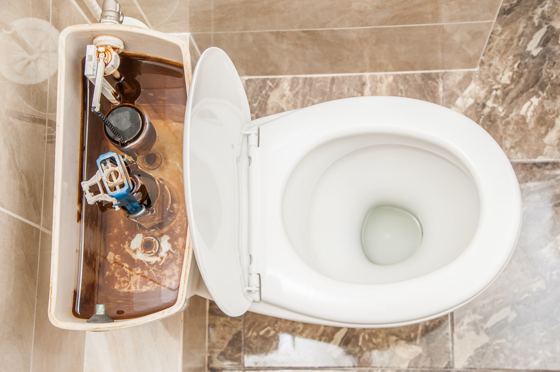 Low Water Level in Toilet Bowl? Common Causes and Solutions