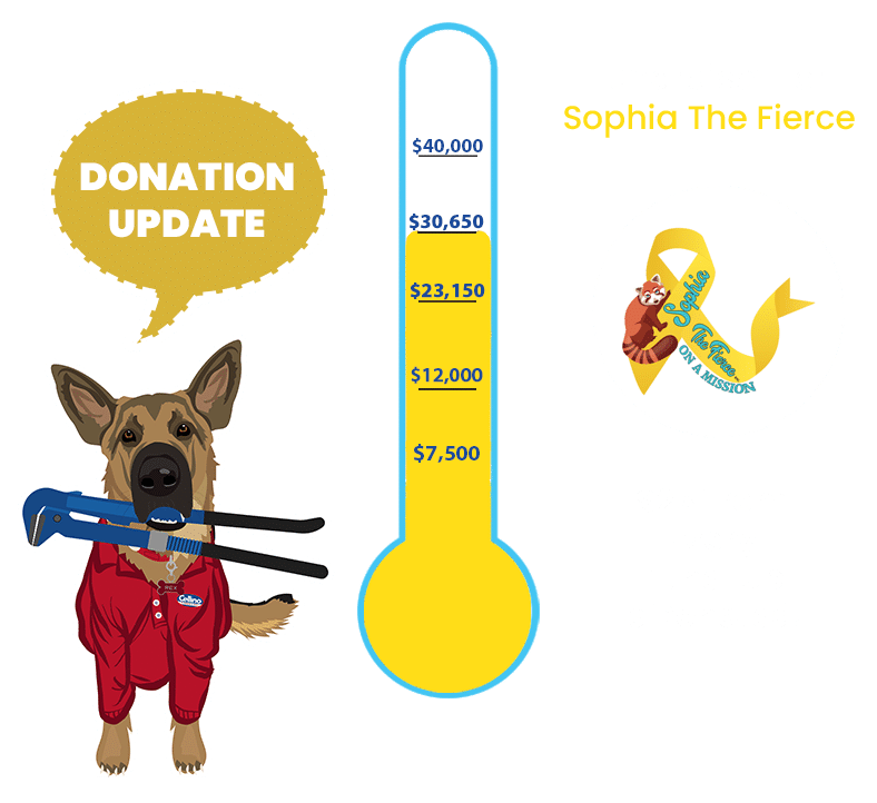 Sophia Donation Update