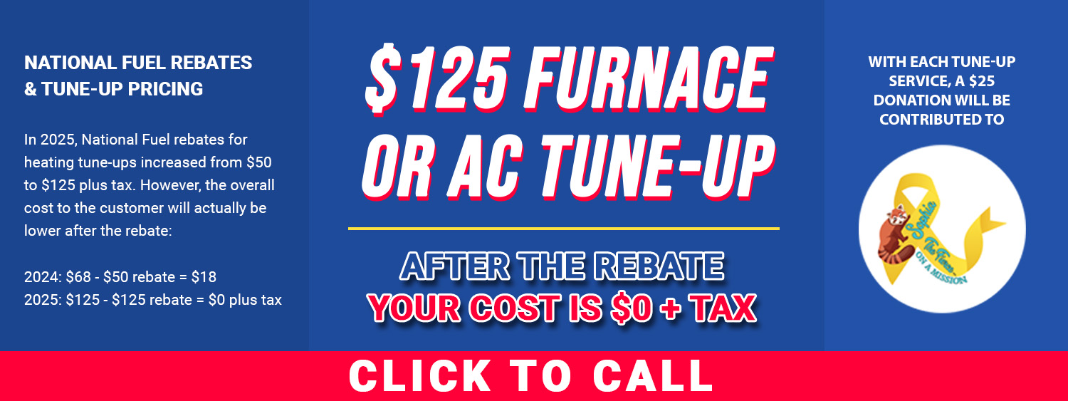 AC_Furnace Tune Up