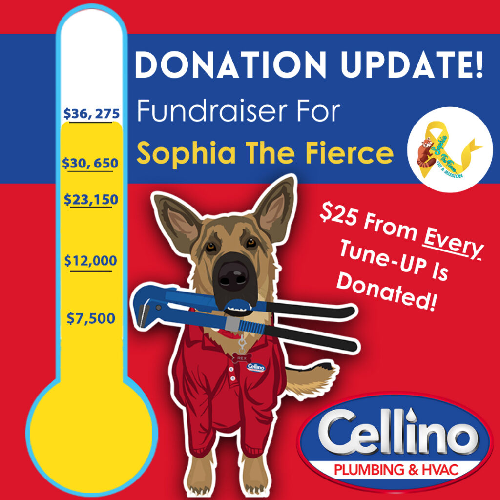 Sophia Donation Update Graphic Socials