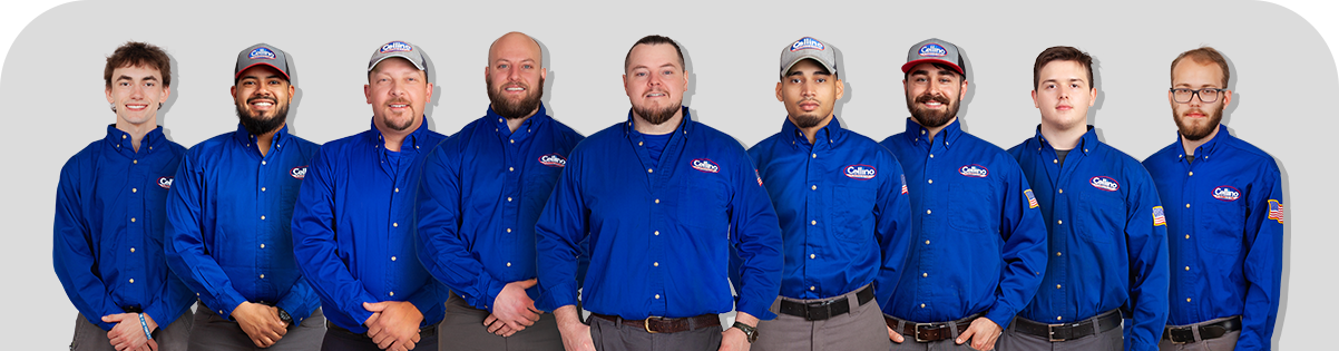 Drain Team
