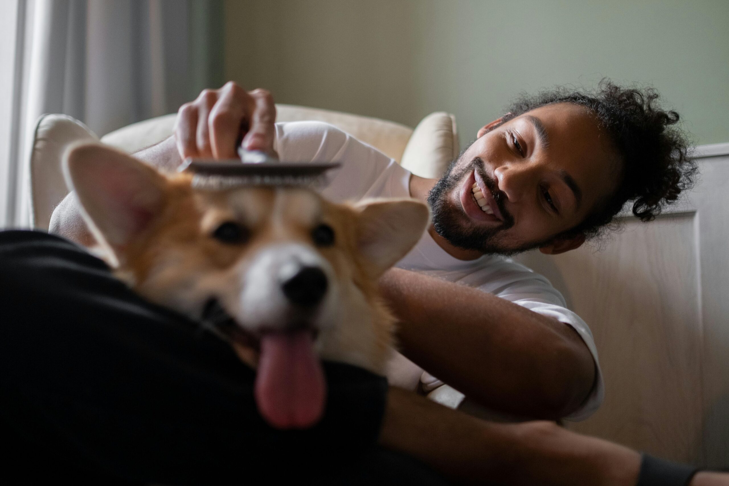 HVAC Tips for Pet Owners