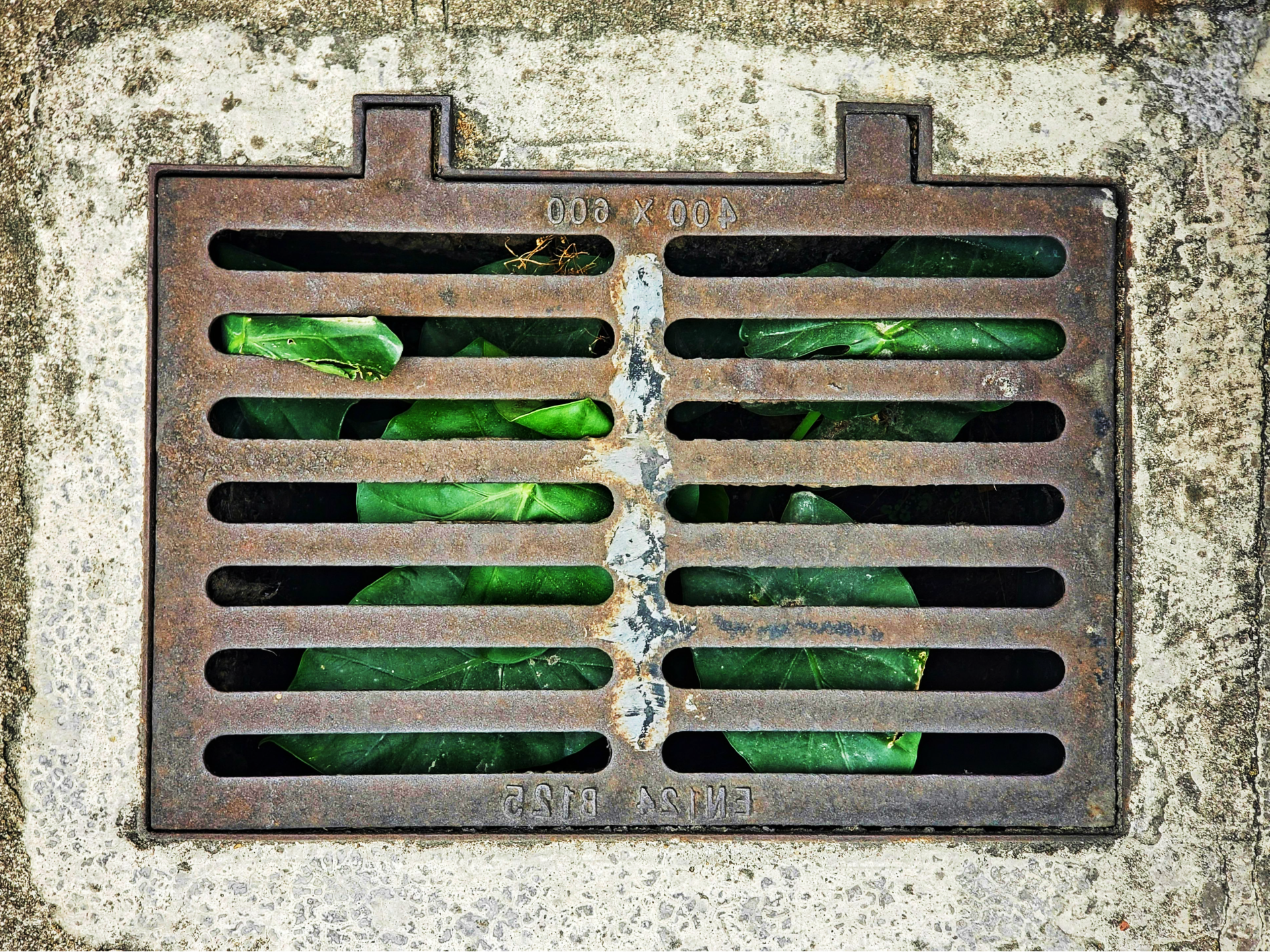 storm drain buffalo