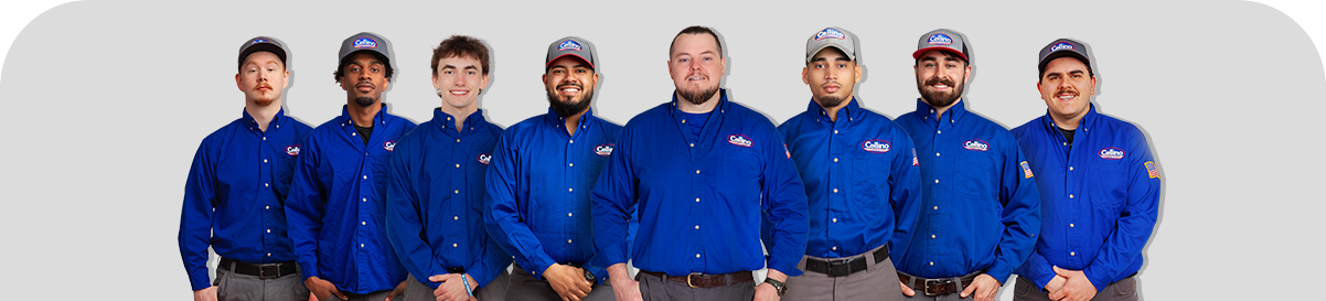 Drain Team